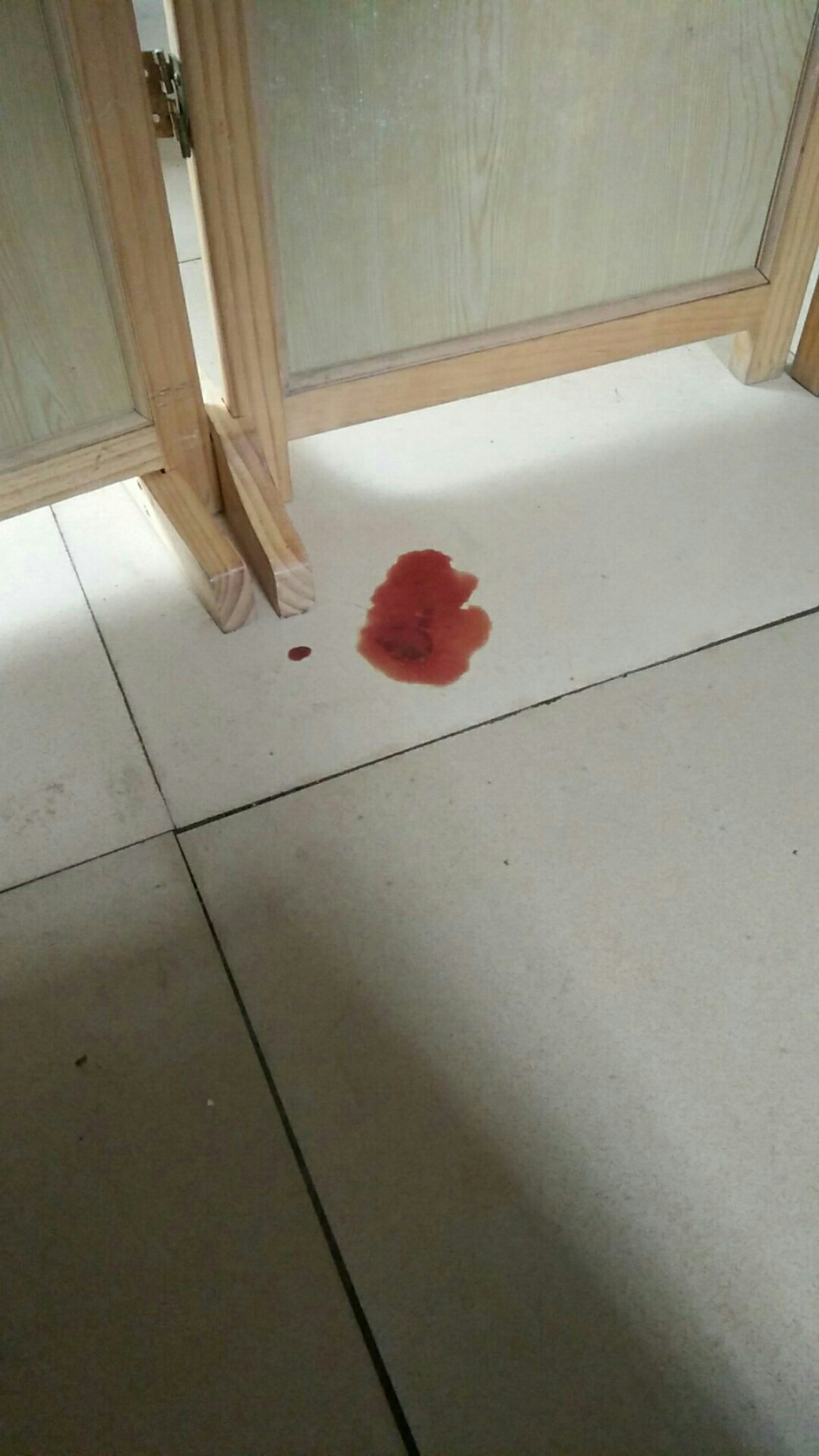 的贵宾狗狗两个多月大,没打疫苗,不吃不喝又吐