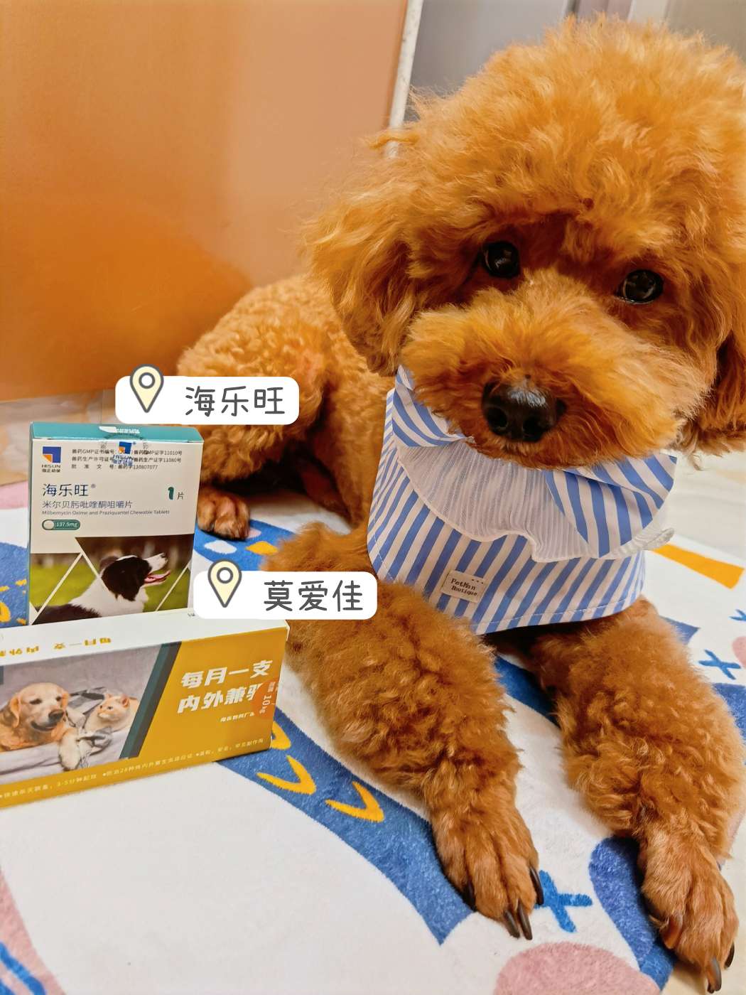 笔记详情