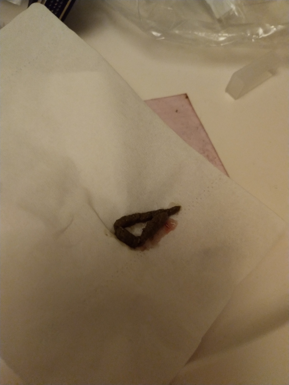 我家狗才买回来4天,2个月左右的博美,几天拉的