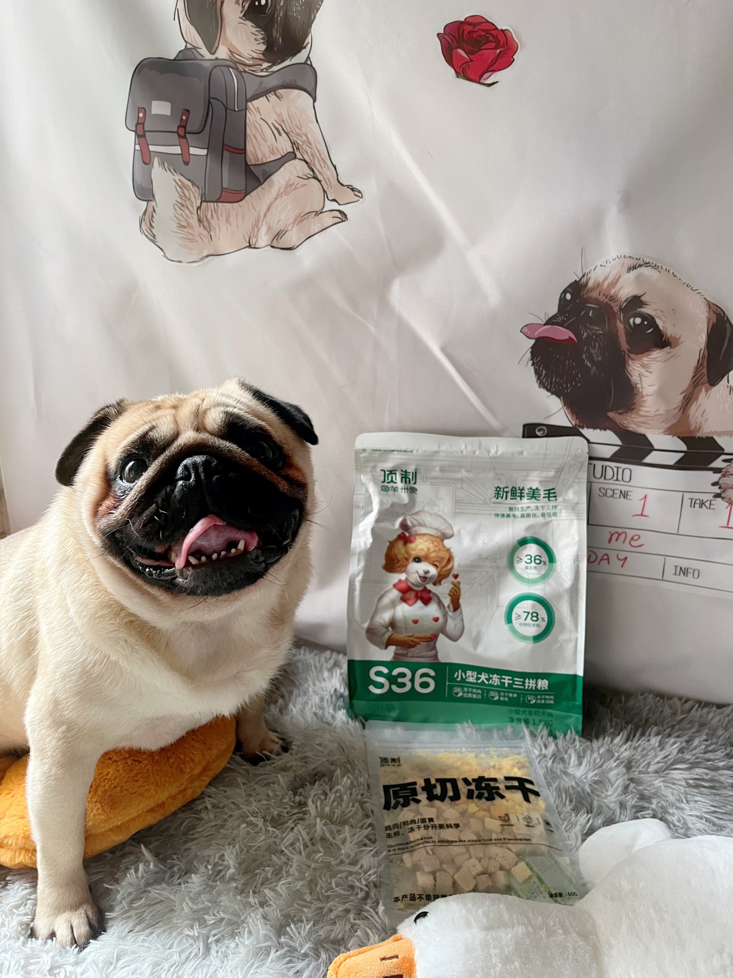 笔记详情