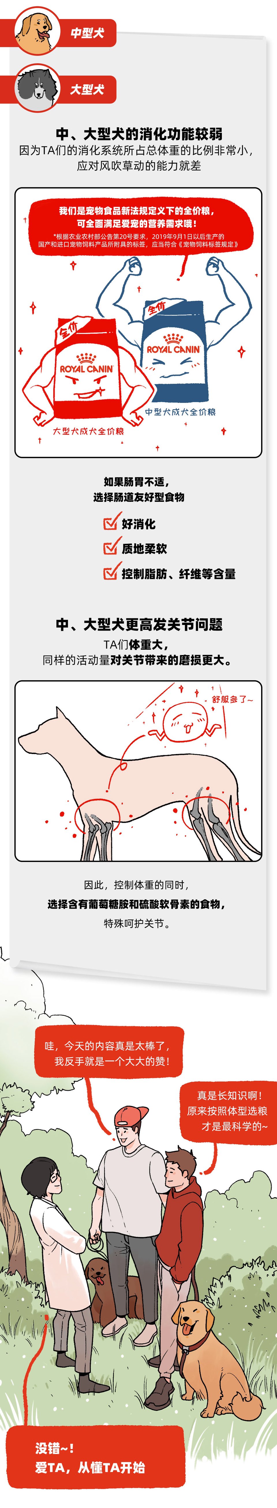 都是恰饭 大型犬小型犬区别怎么那么大 波奇网移动端