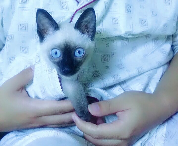 我家宝宝,1岁半了。但是体重现在只有4.4斤,太