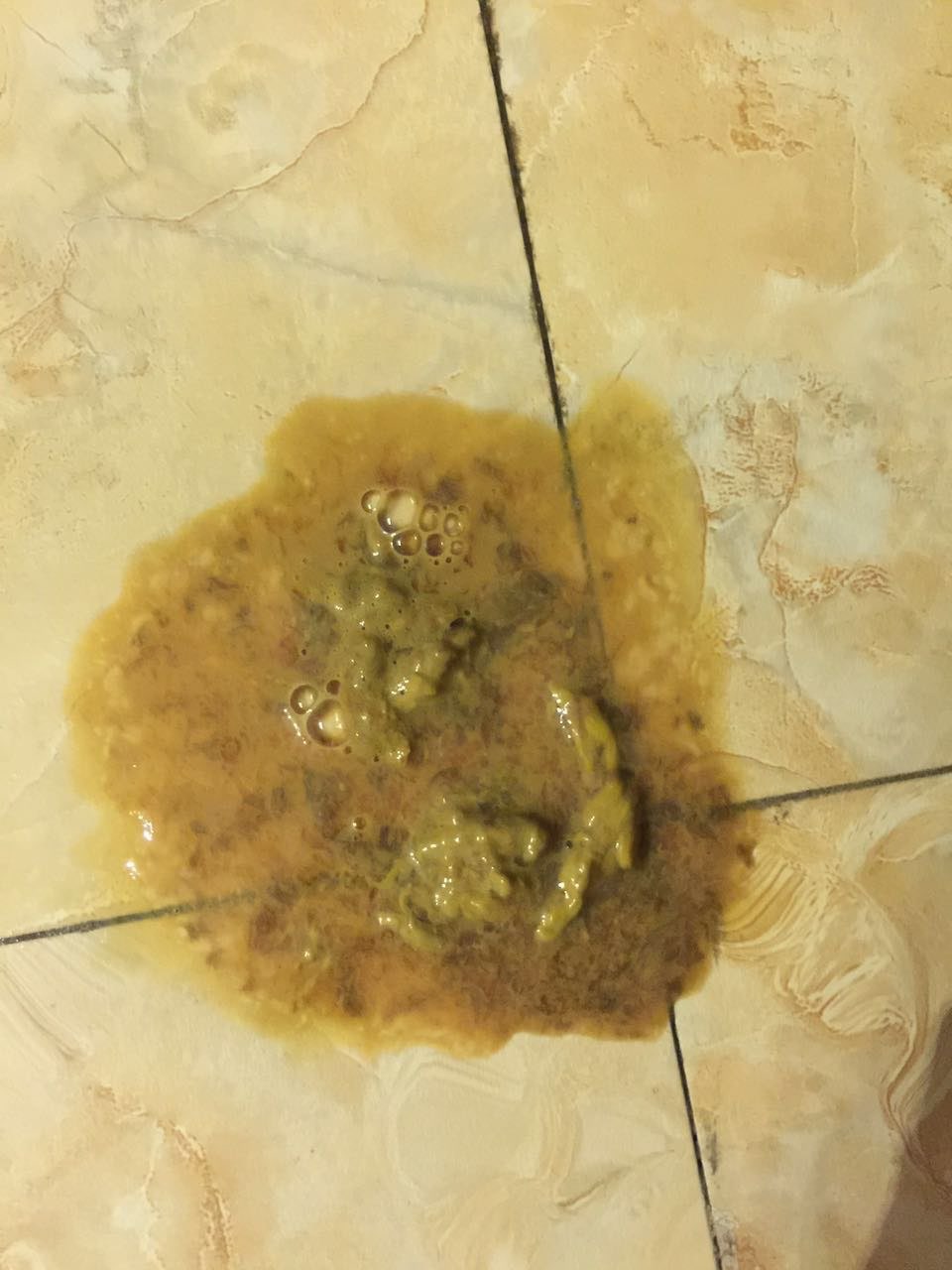 我们家法斗拉肚子 呕吐 吃了妈咪爱 图一是昨天