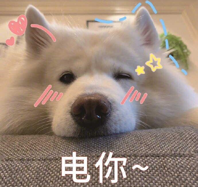 狼宝