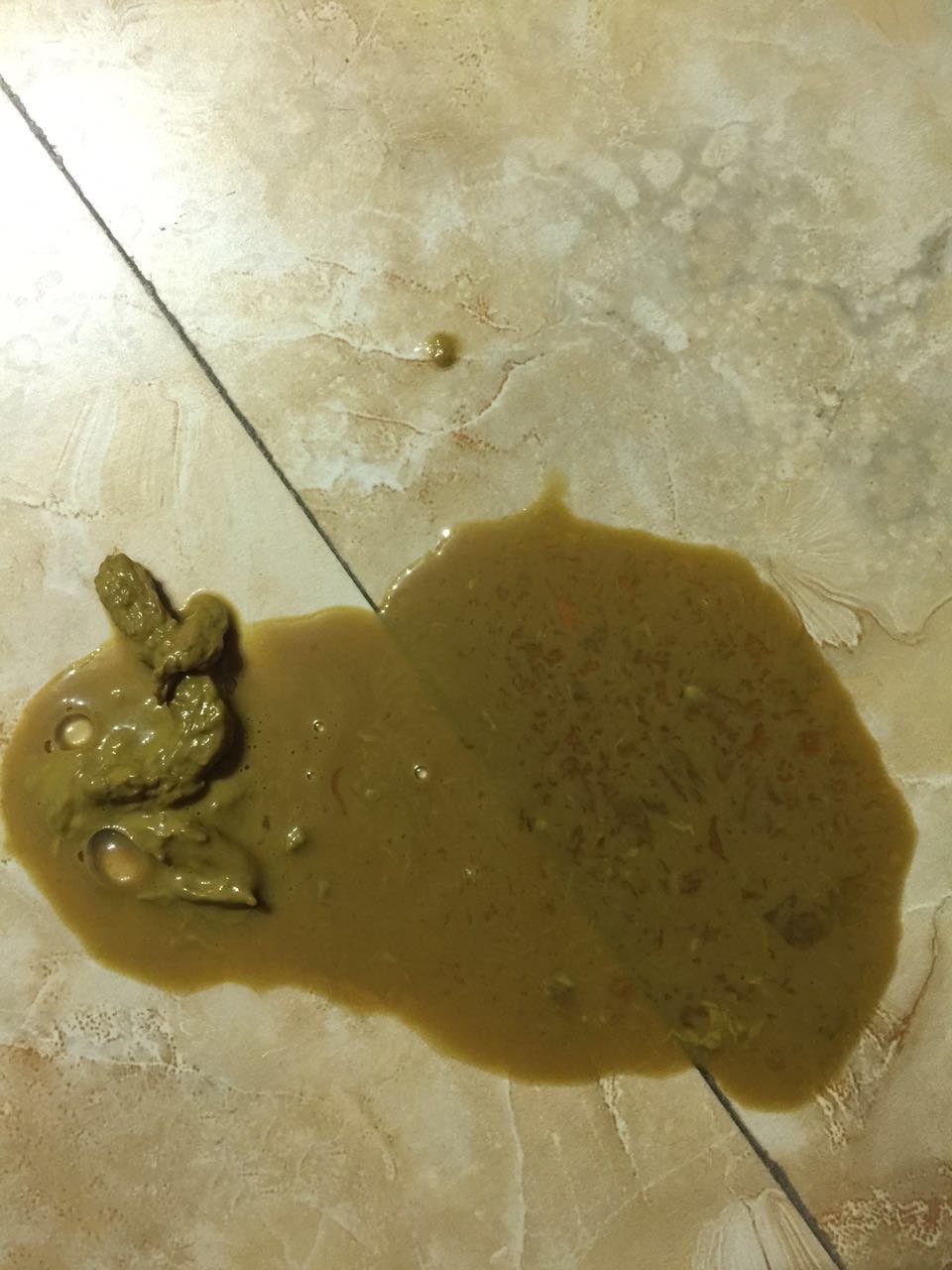 我们家法斗拉肚子 呕吐 吃了妈咪爱 图一是昨天