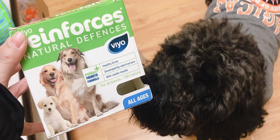 Viyo犬用营养增强剂 提升狗狗的免疫力 波奇网移动端