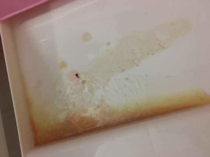 求问:家里两只五个月大的猫吐了一天了,一会一