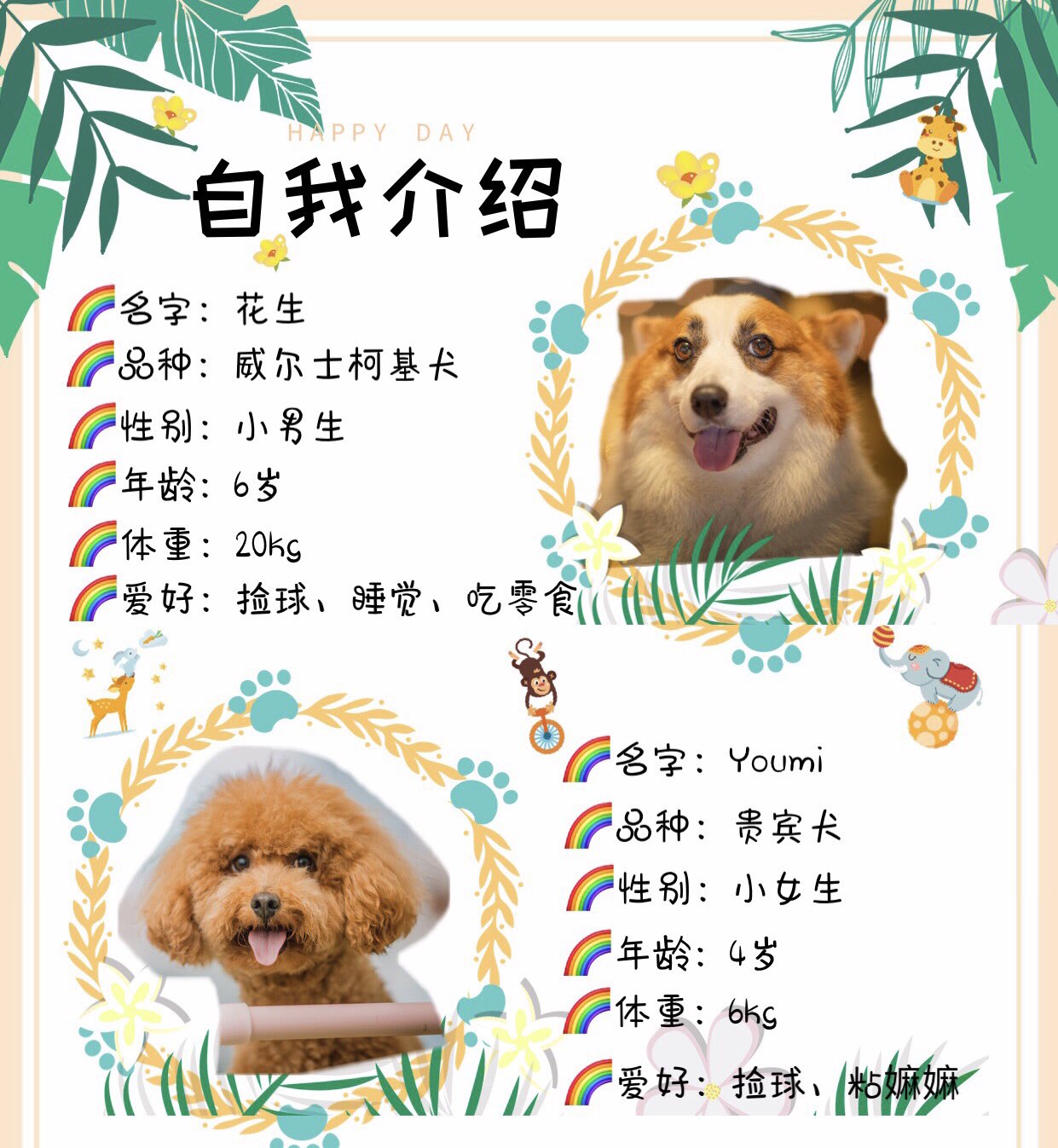 优佳俪宠物调理精油测评 回购精油一款 波奇网移动端