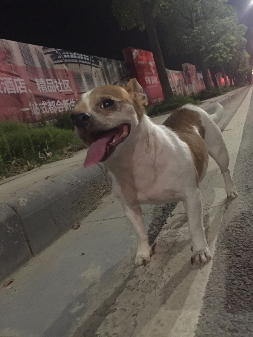 已经持续这种情况一周多了 每天晚上都发热 喘