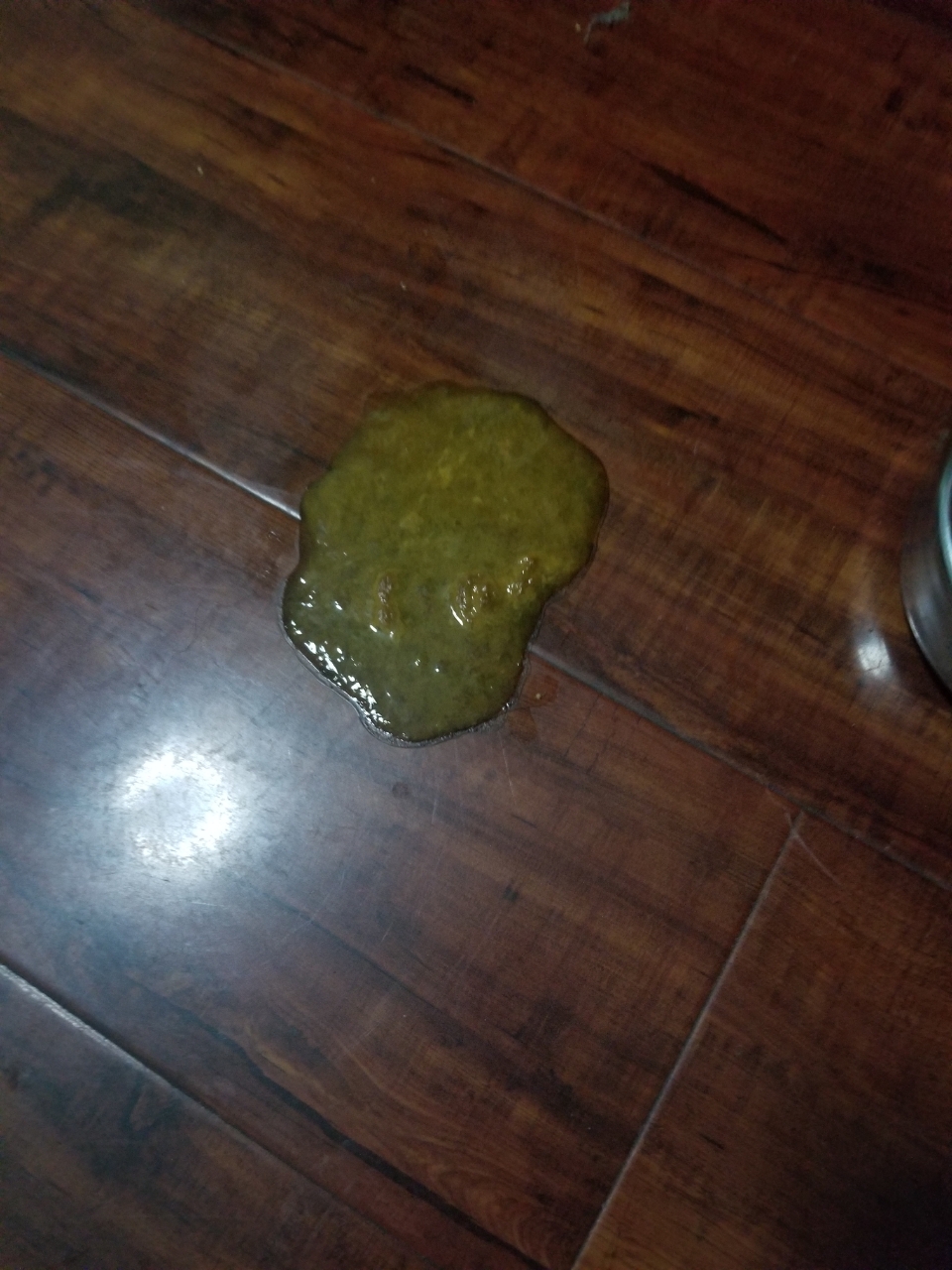 狗狗前天晚上呕吐白沫 拉稀 今天拉稀 不吐了