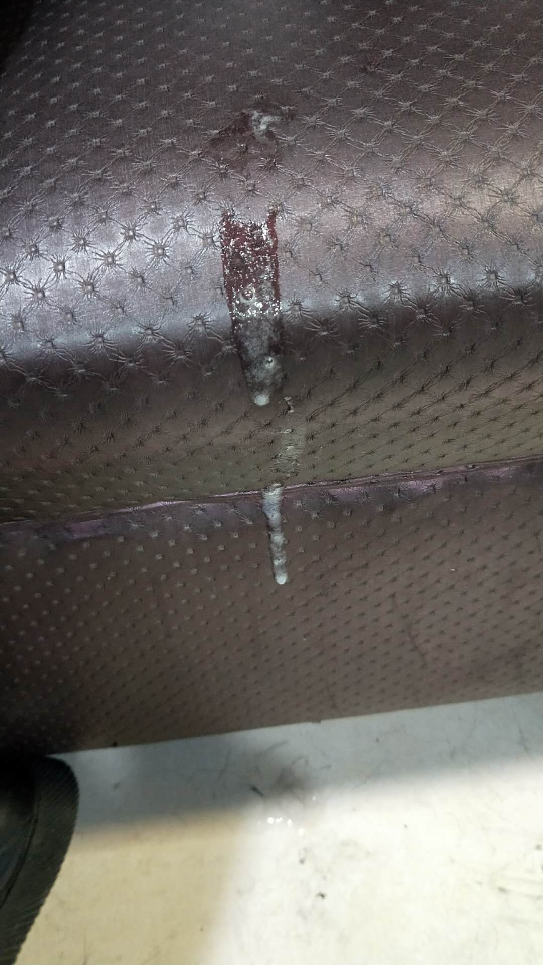 狗狗咳嗽吐白痰,严重不|-波奇网百科大全