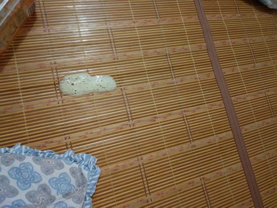 我家的比熊半夜听见它肚子咕咕的响接着马上就