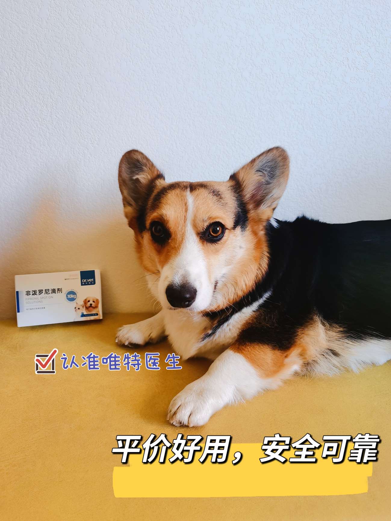 笔记详情